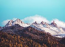 开云体育官网-张帅/梅尔滕斯夺得澳网女双冠